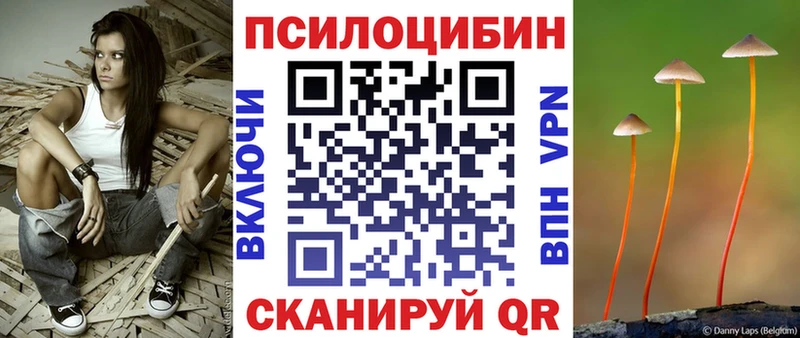 Галлюциногенные грибы MAGIC MUSHROOMS  где продают наркотики  Советск 